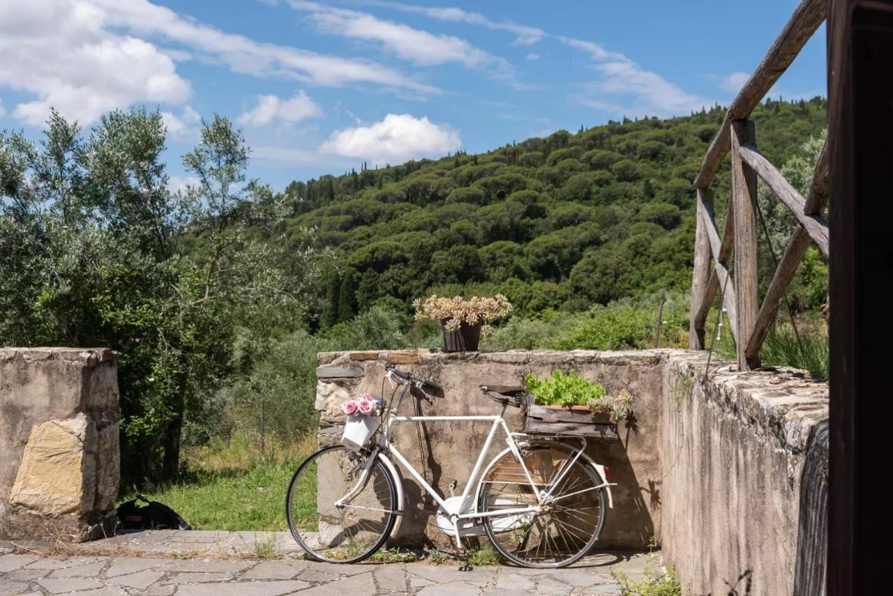 B&B Le Torri Di Firenze Fiesole Zewnętrze zdjęcie