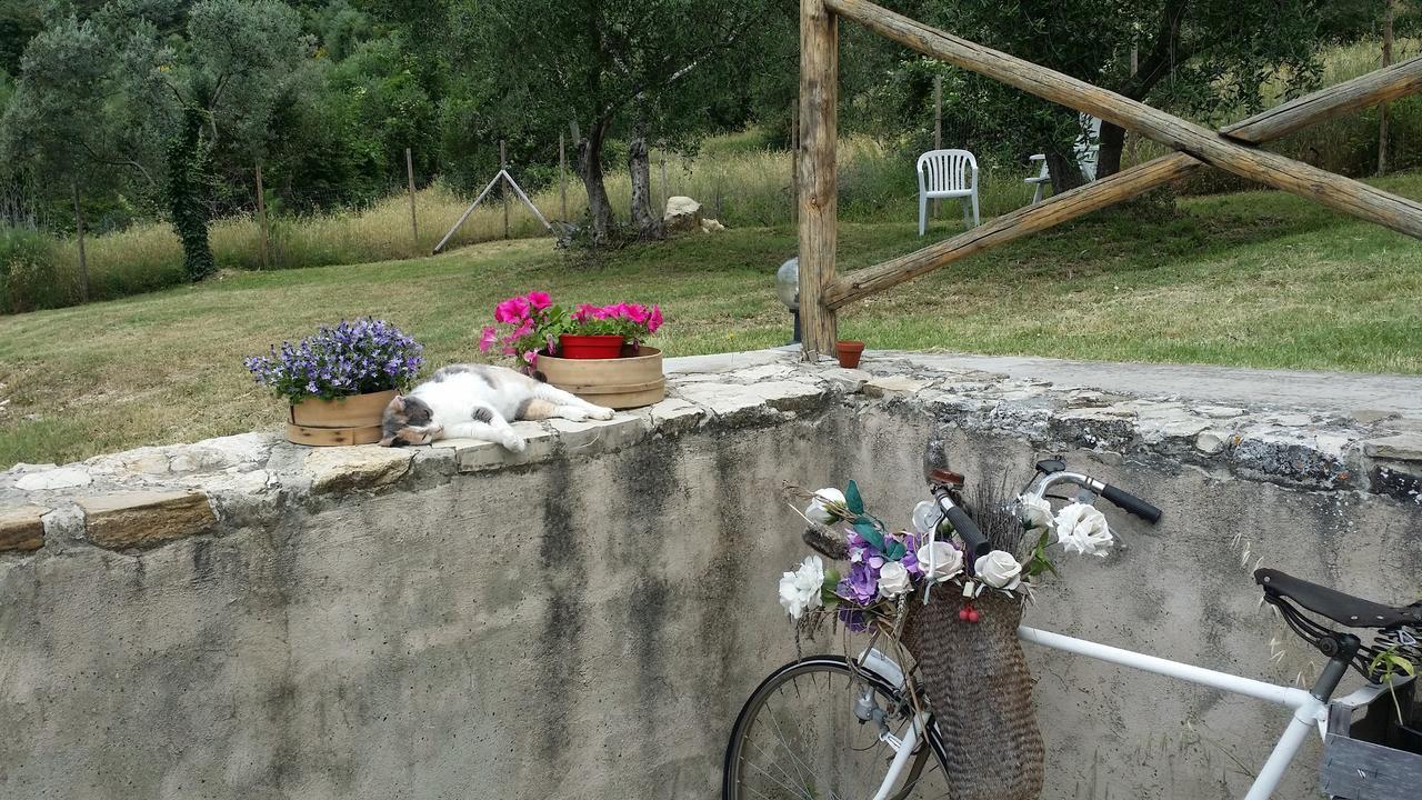 B&B Le Torri Di Firenze Fiesole Zewnętrze zdjęcie