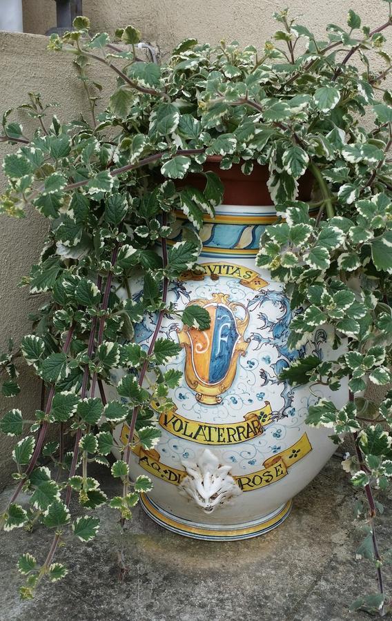 B&B Le Torri Di Firenze Fiesole Zewnętrze zdjęcie
